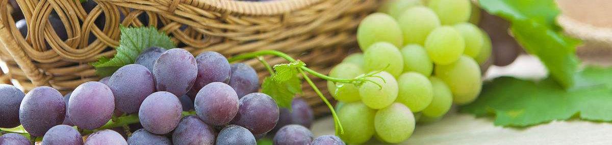 Grape seed extract